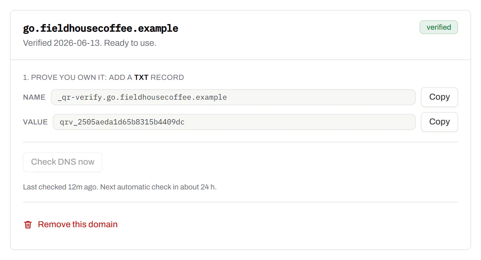 A verified custom domain, go.fieldhousecoffee.example, with the TXT and CNAME records to copy into DNS and a button to check them again.